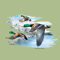 Test Image 1