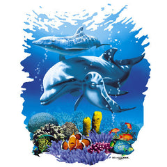 Dolphin Reef