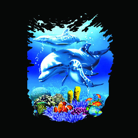Dolphin Reef