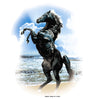 Horse on a Beach