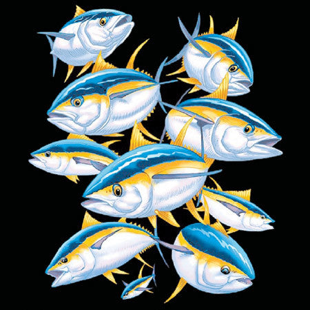 School of Yellowtail