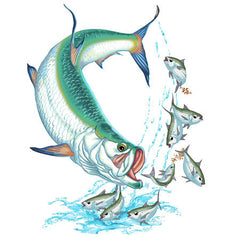 Tarpon Splash!