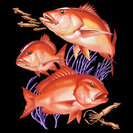 Red Snapper Trio
