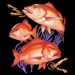 Red Snapper Trio