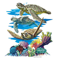 Sea Turtle Trio