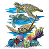 Sea Turtle Trio