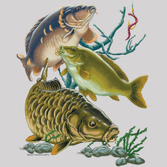 Carp Fish Trio
