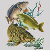 Carp Fish Trio