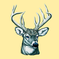 Test Image 1