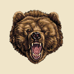 Angry Bear
