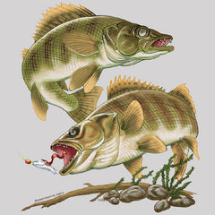 Walleye Fish