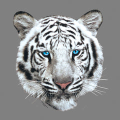Test Image 1