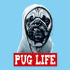 Test Image 2