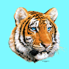 Test Image 2